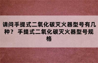 请问手提式二氧化碳灭火器型号有几种？ 手提式二氧化碳灭火器型号规格